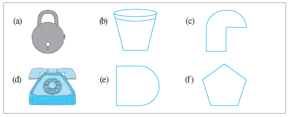 Page 263 Chapter 13 Class 6th Non-Rationalised NCERT 2019-20